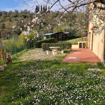 Apartamento Dependance Nel Chianti A Pochi Minuti Da Firenze Impruneta Exterior foto