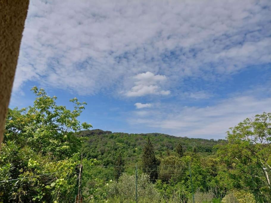 Apartamento Dependance Nel Chianti A Pochi Minuti Da Firenze Impruneta Exterior foto