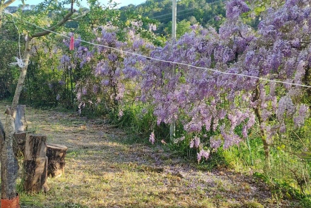 Apartamento Dependance Nel Chianti A Pochi Minuti Da Firenze Impruneta Exterior foto